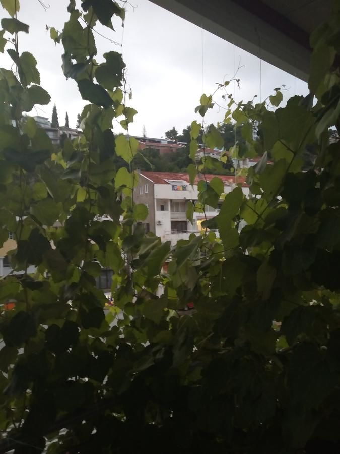Апартаменты Apartmani Jancic Улцинь-40